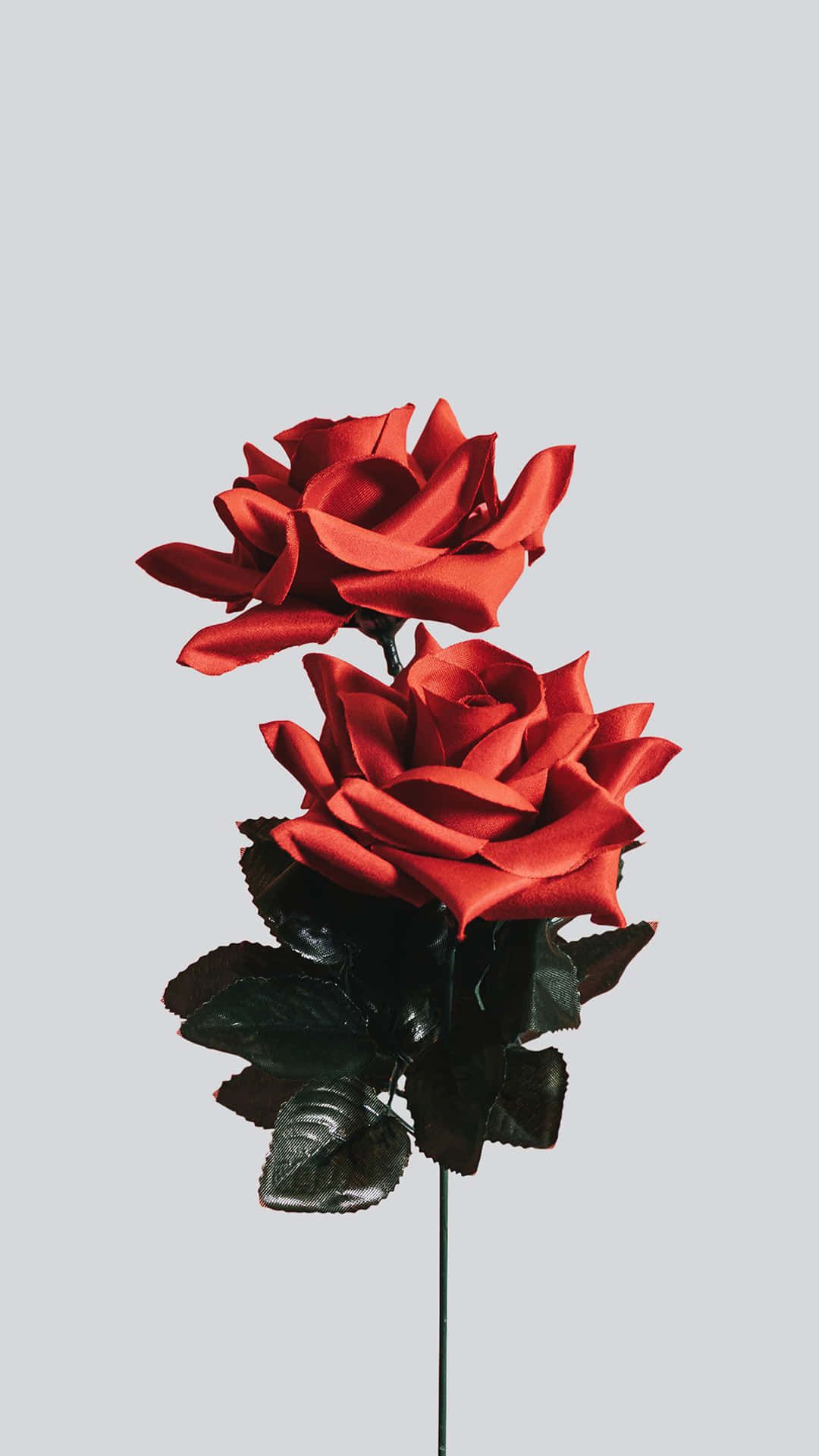 Simple Flower Wallpaper