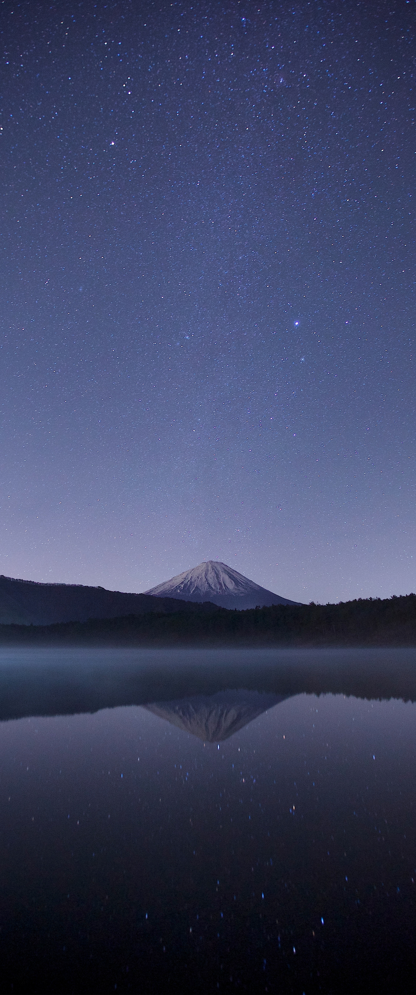 Night Skies Vertical Wallpaper