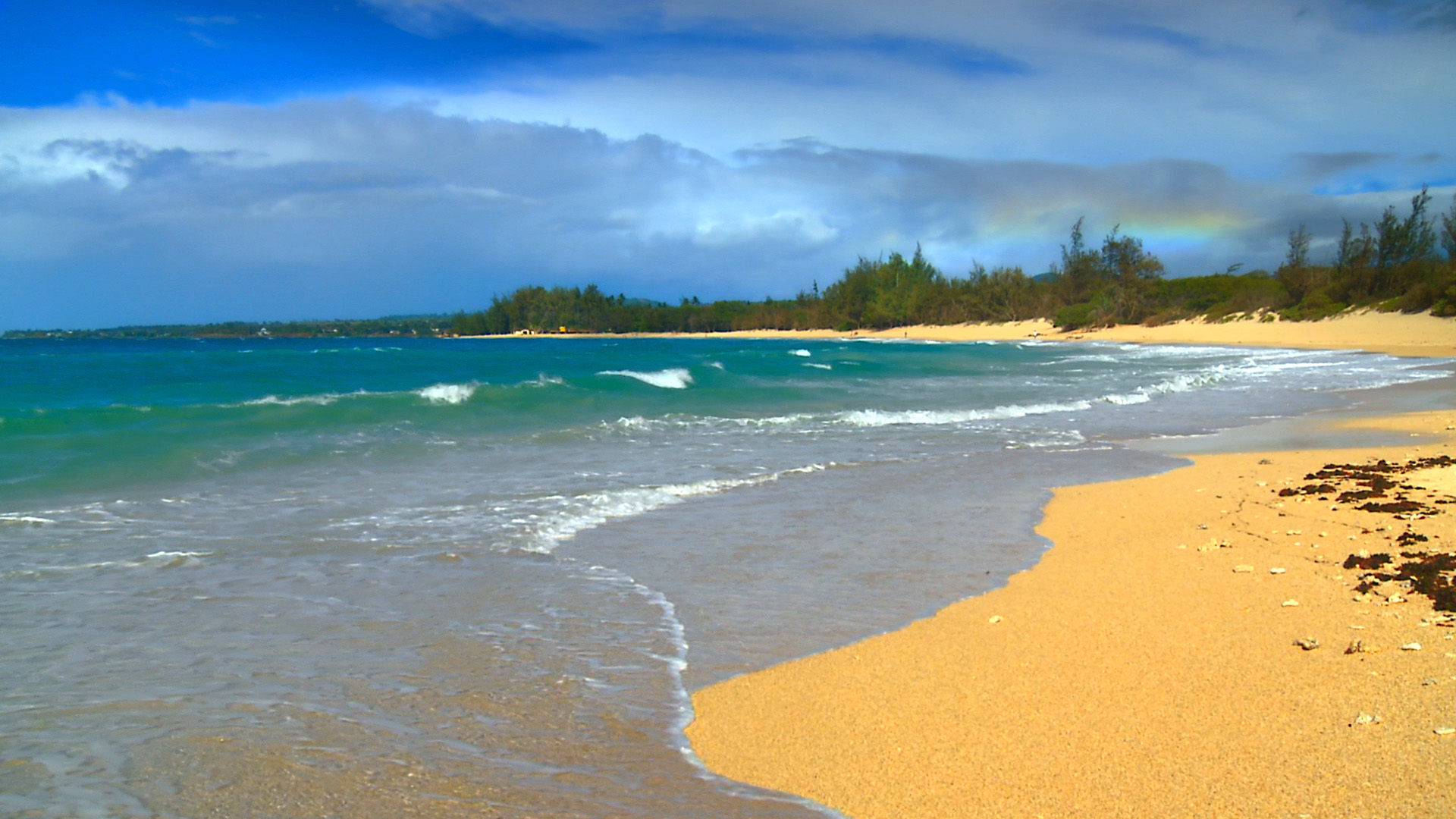 Hawaii Background Screensaver Beach Beaches Media Webshots Beautiful