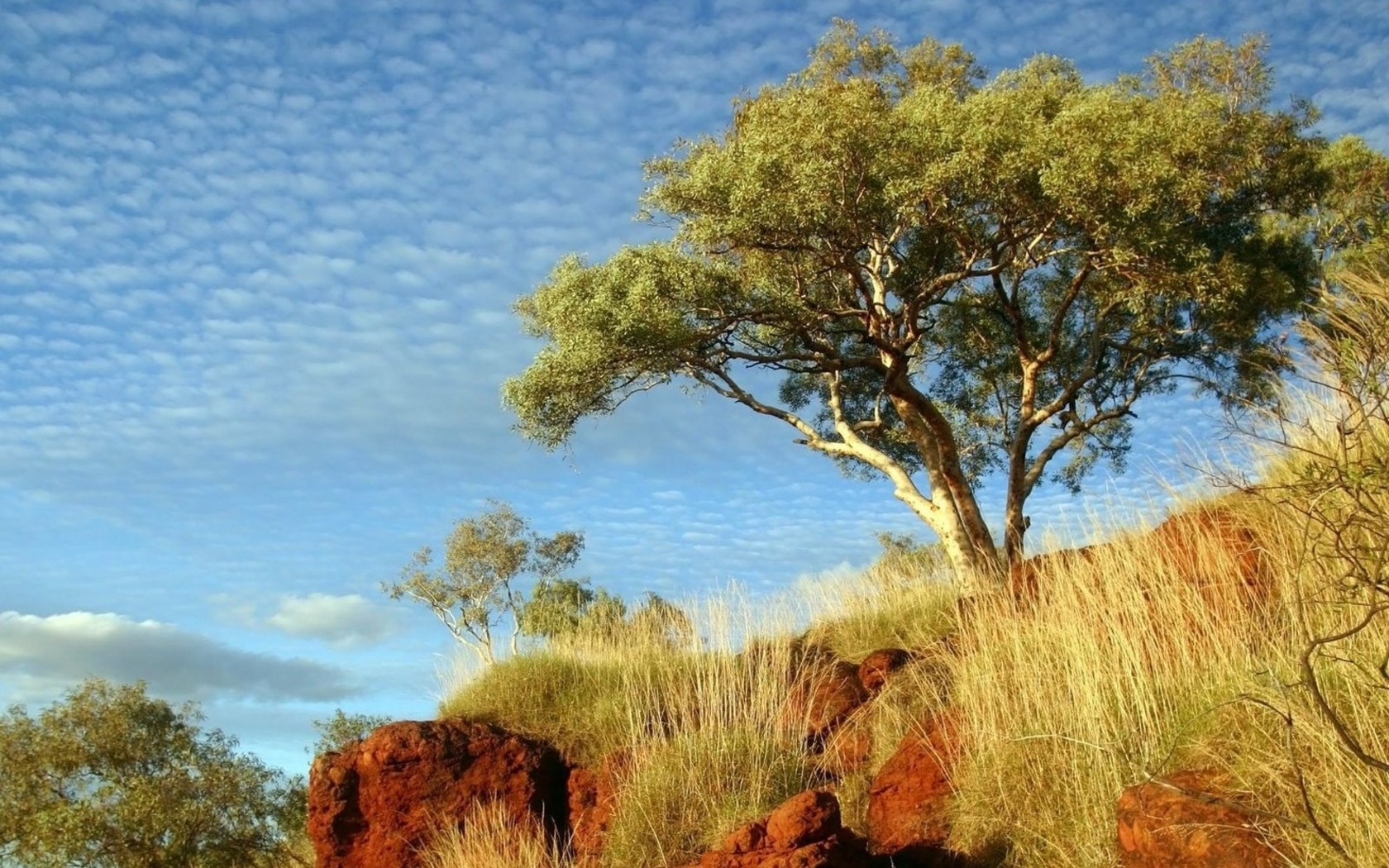 On A Sunny Day Wallpaper And Image Pictures Photos