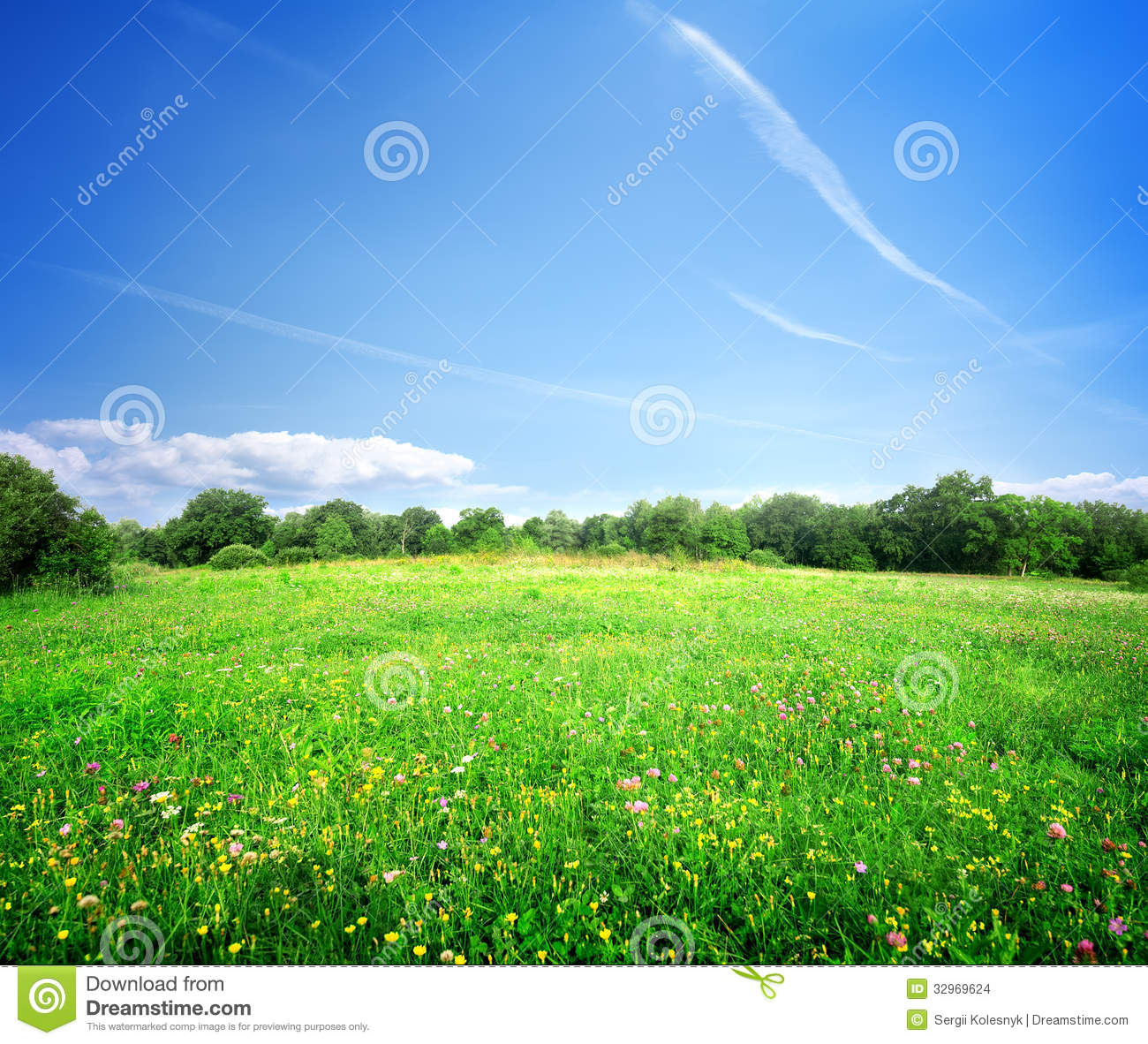 Meadow Flowers Desktop Theme Wallpaper
