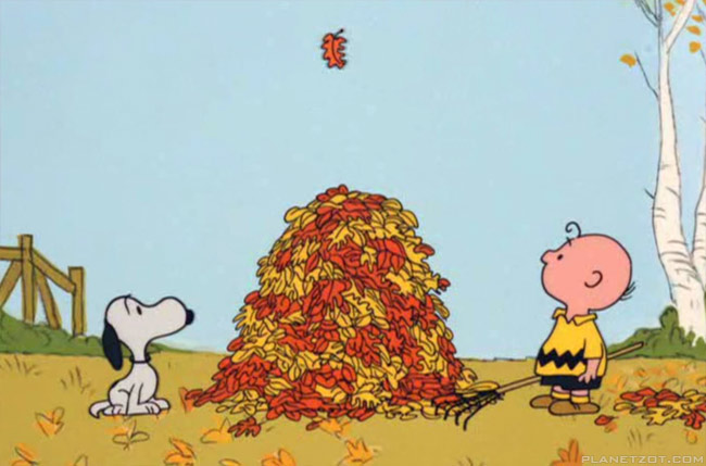 Charlie Brown Thanksgiving vmhenson fall autumn brown charlie  thanksgiving HD wallpaper  Peakpx