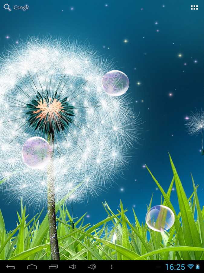 Dandelion Live Wallpaper Android Apps On Google Play