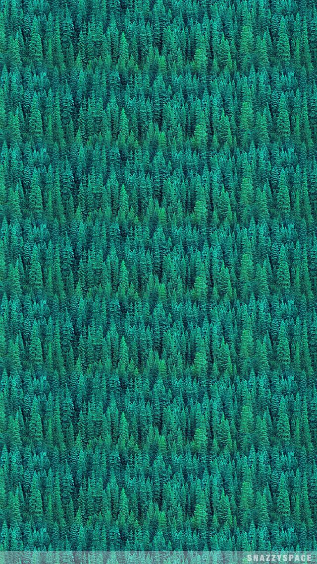 Installing This Forest Trees iPhone Wallpaper Is Very Easy Just Click