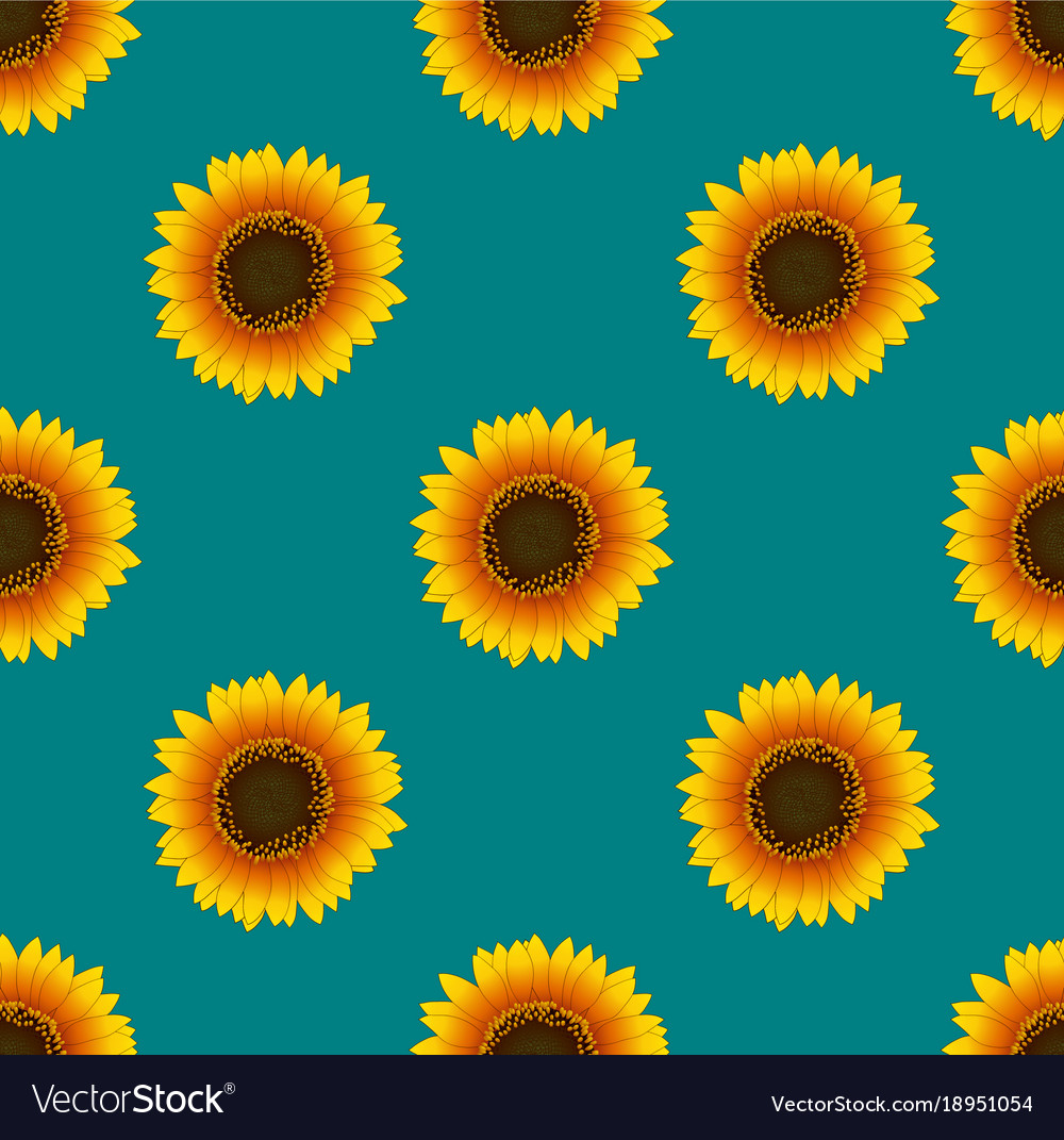 Sunflower Seamless On Green Teal Background Vector Image