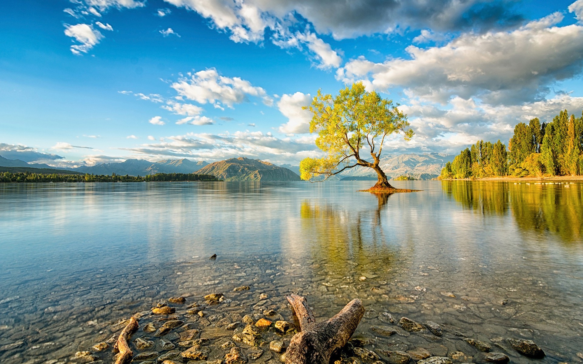 Nature Colorful Photography Wallpaper HD