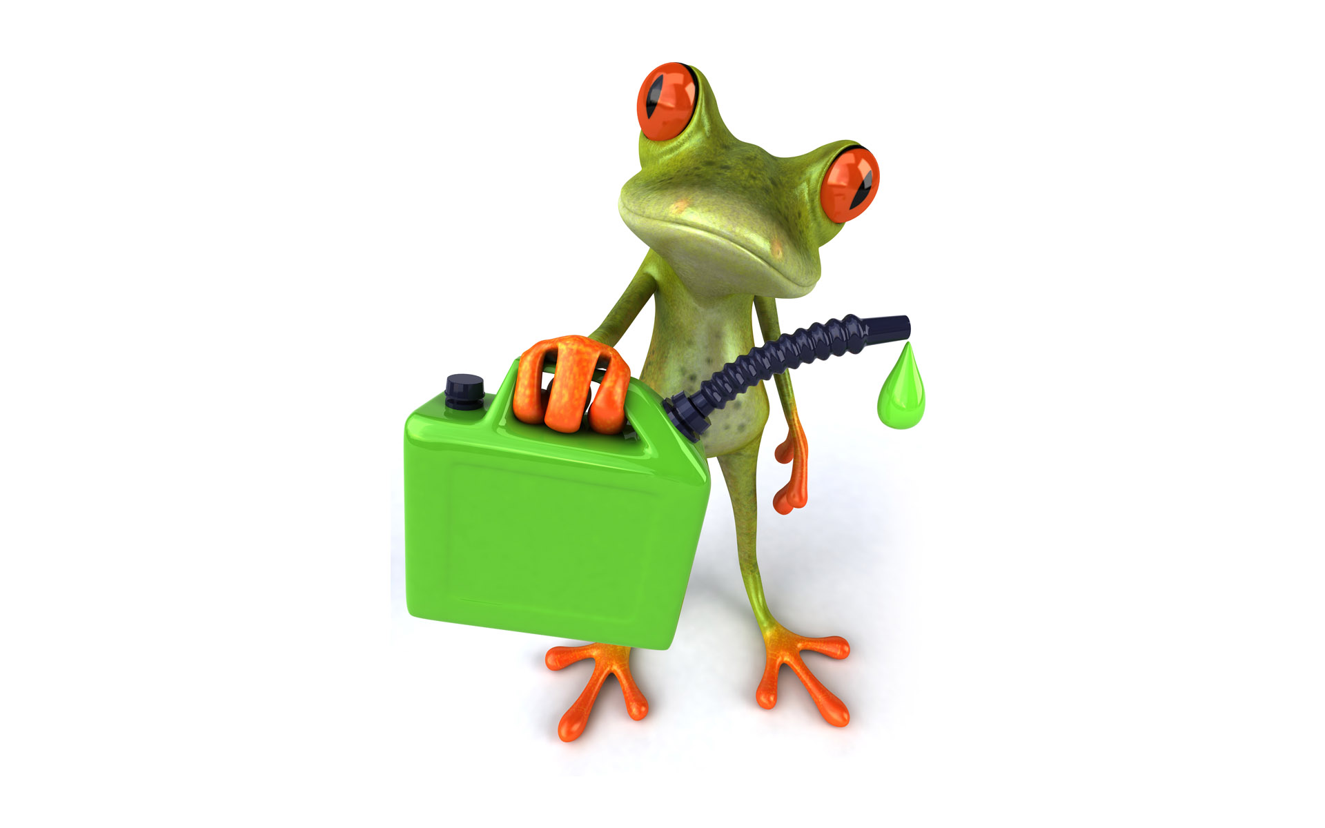 Cartoon Frog Desktop Wallpaper