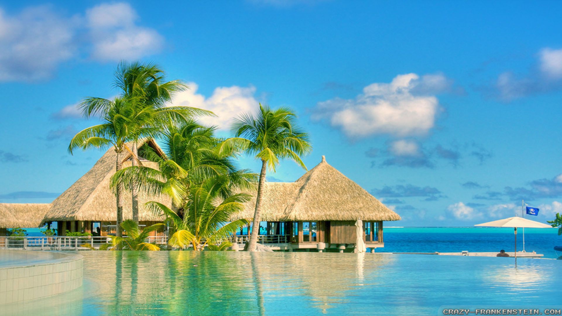 Luxury overwater bungalows with thatched roofs nestled among palm trees beside a tranquil infinity pool overlooking a turquoise ocean under a sunny sky