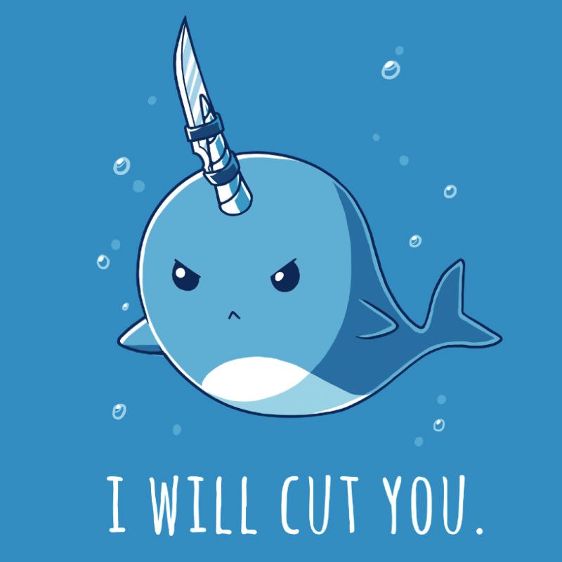 Free download Narwhal Wallpaper posted by Michelle Sellers [800x800] for  your Desktop, Mobile & Tablet | Explore 23+ Narwhal Wallpaper | Cute  Narwhal Wallpapers,
