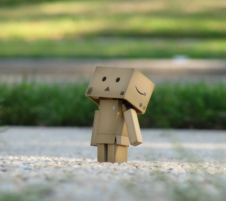 Danbo Other Cute Lovely Boxman Robot Alone Lonely Amazon
