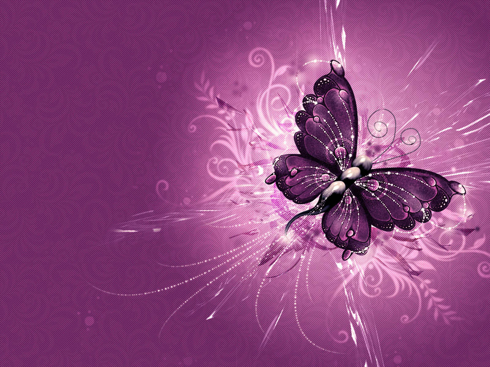 Tag Vector Butterfly Wallpaper Background Photos Pictures And