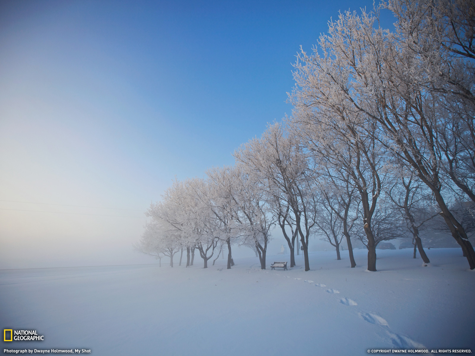  Photo Snow Wallpaper National Geographic Photo of the Day
