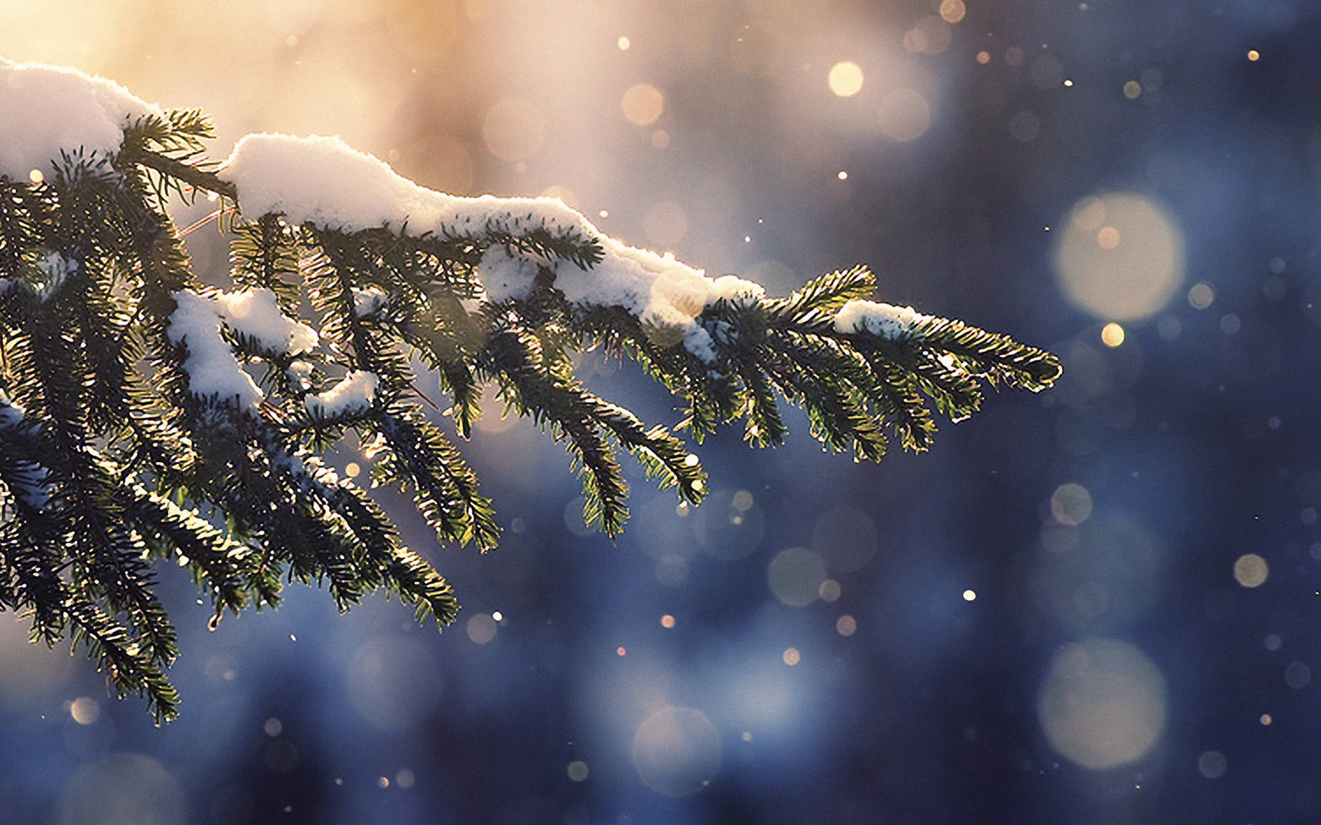 Snow Aesthetic Wallpaper