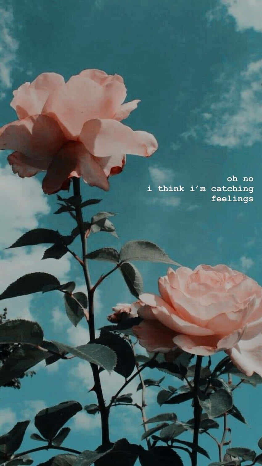 Vintage Peach Roses Aesthetic Wallpaper
