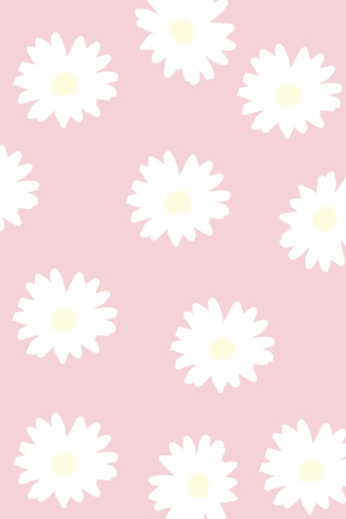 Image Include Flowerbackground Background Daisies Daisy And Flower