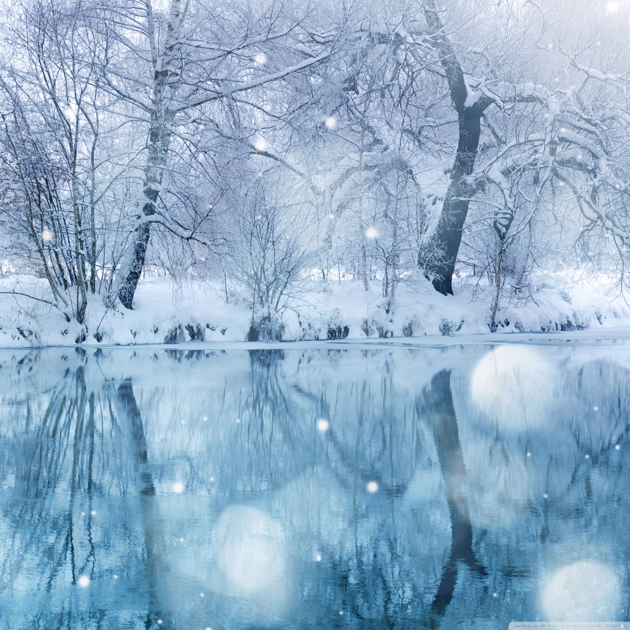A serene winter landscape with snow-covered trees reflected in a calm, icy river