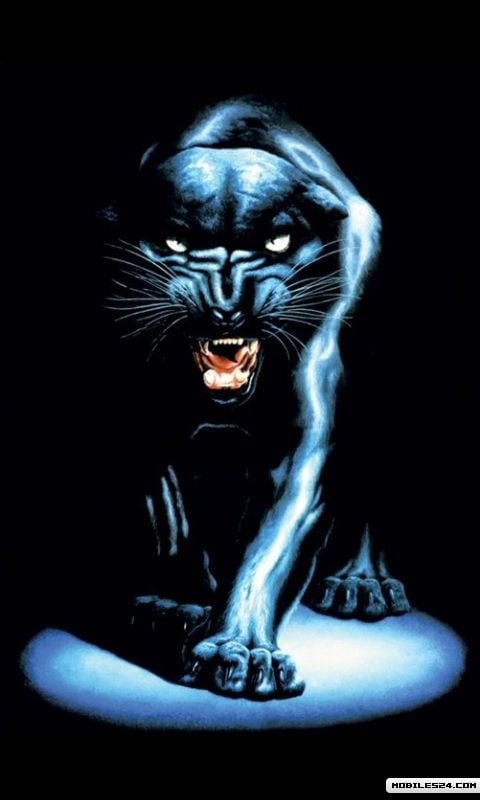 Download Carolina Panthers Wallpapers To Your Cell Phone Apps