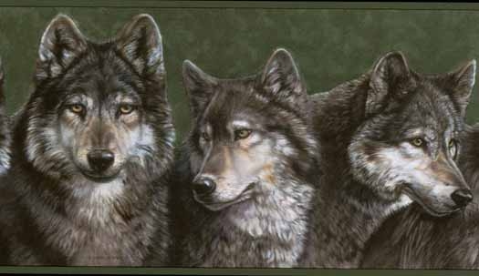 Deer Wolf Design Wolves Southwestern Brilliant Wallies Desert