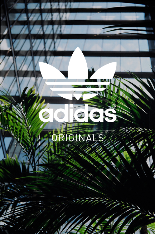 Free download adidas originals logo [497x750] for your Desktop, Mobile &  Tablet | Explore 50+ Adidas Wallpaper Tumblr | Adidas 2015 Wallpaper, Adidas  Wallpapers, Adidas Wallpaper