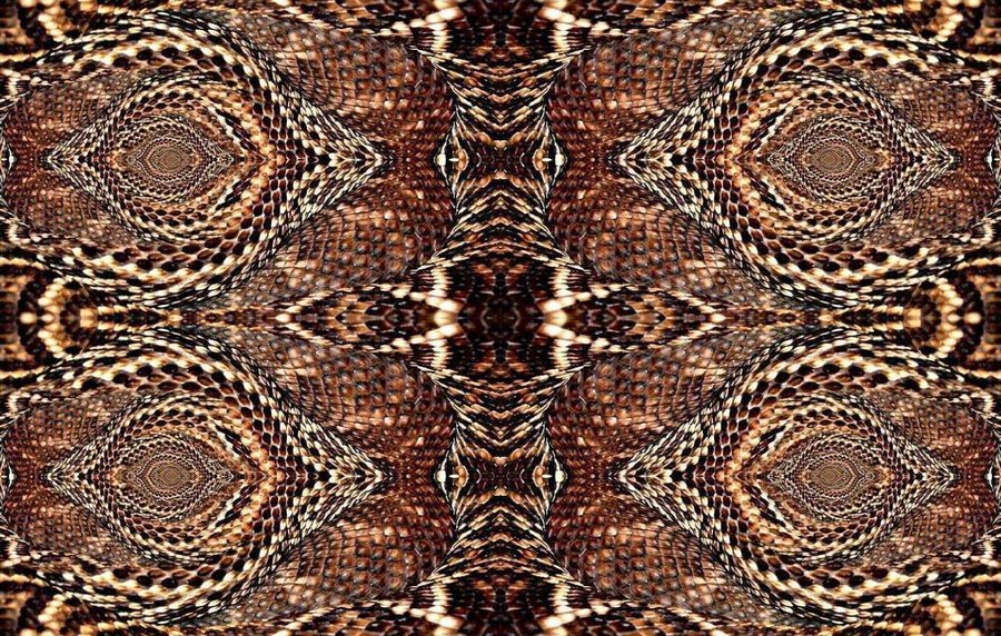 Rattlesnake Skin Wallpaper By Psysrek
