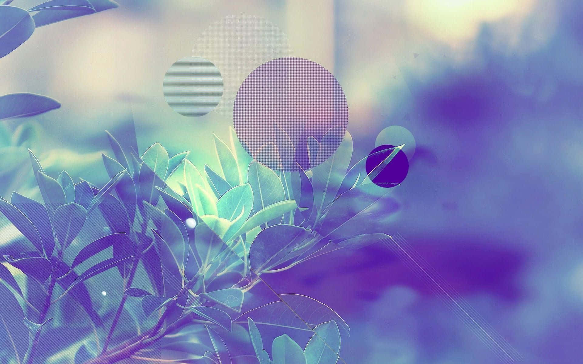 Elegant Aesthetic Wallpaper