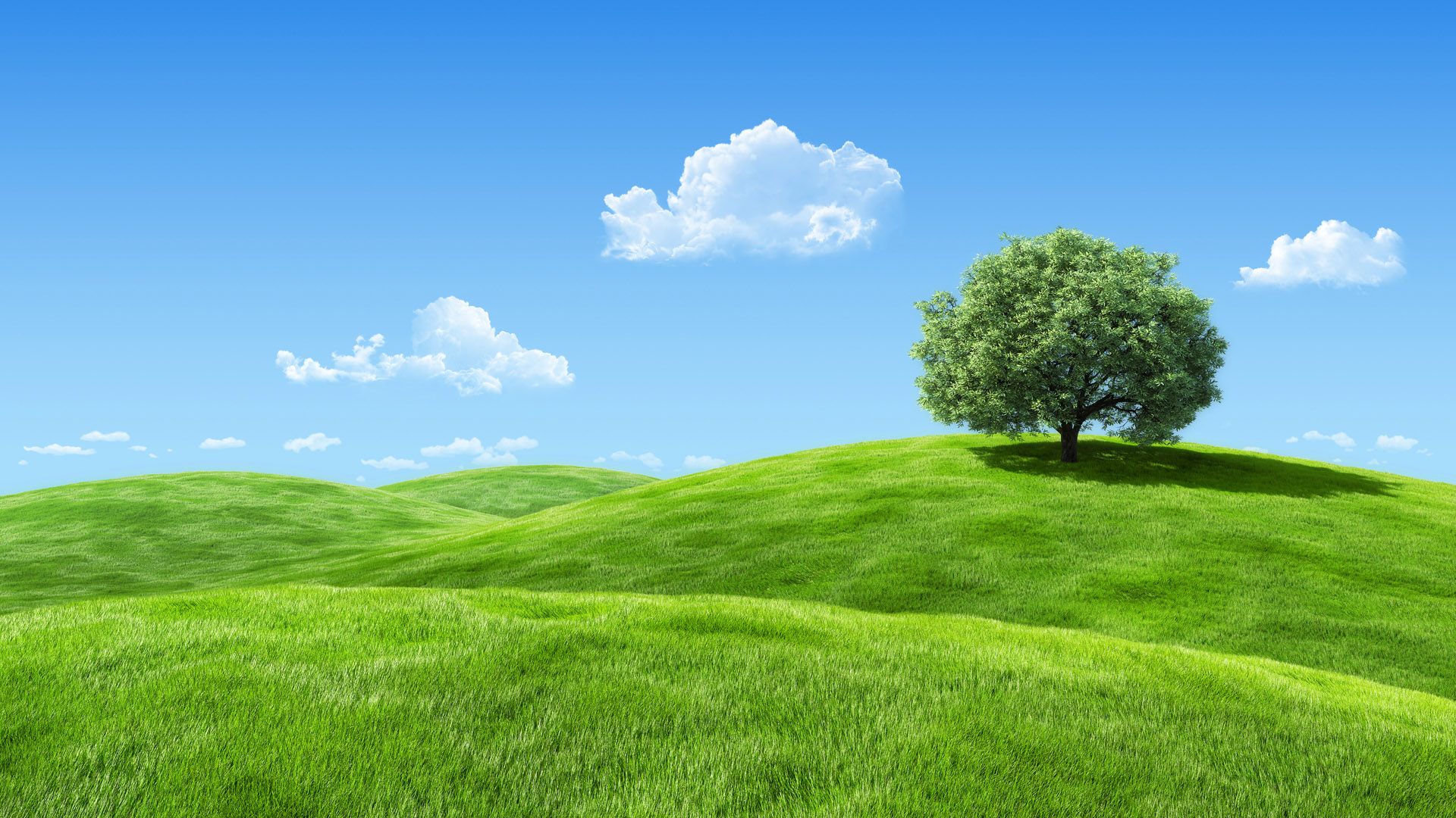 Green Hill Horizon Land Landscape Lawn Light Lush Meadow