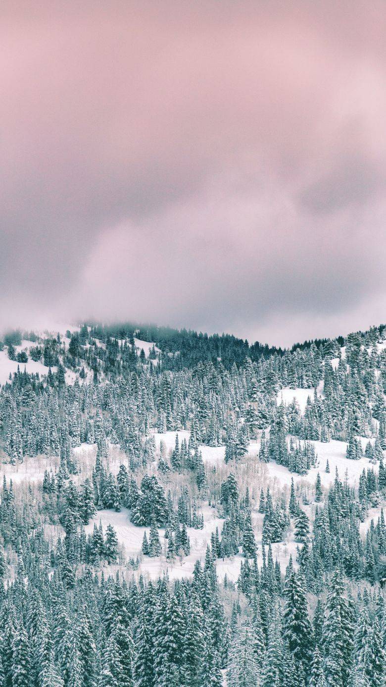 Snow iPhone Background Wallpaper