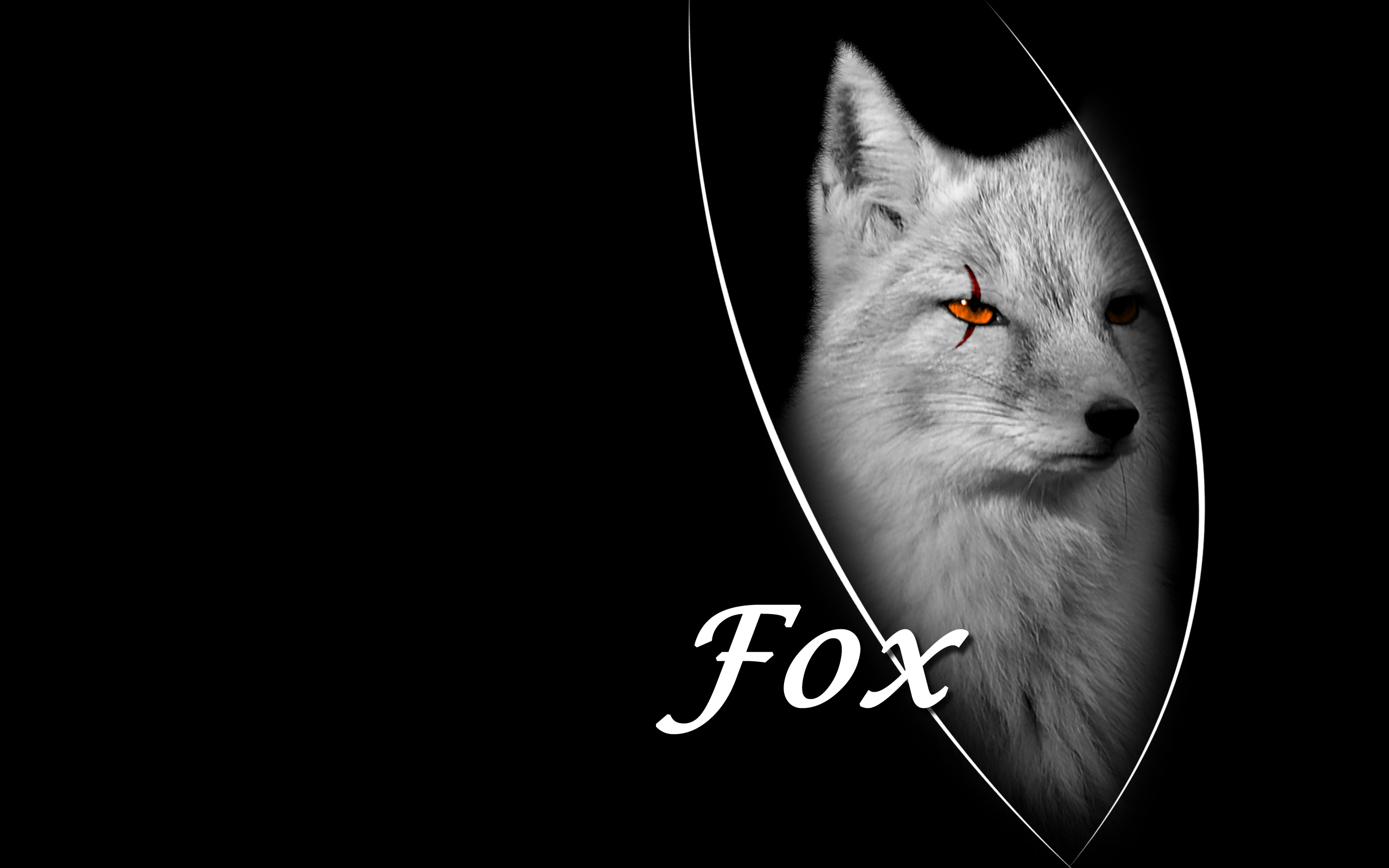 Fox Desktop Pc And Mac Wallpaper