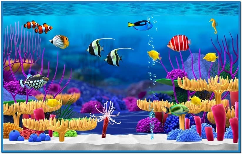 marine life aquarium 3d screensaver free download