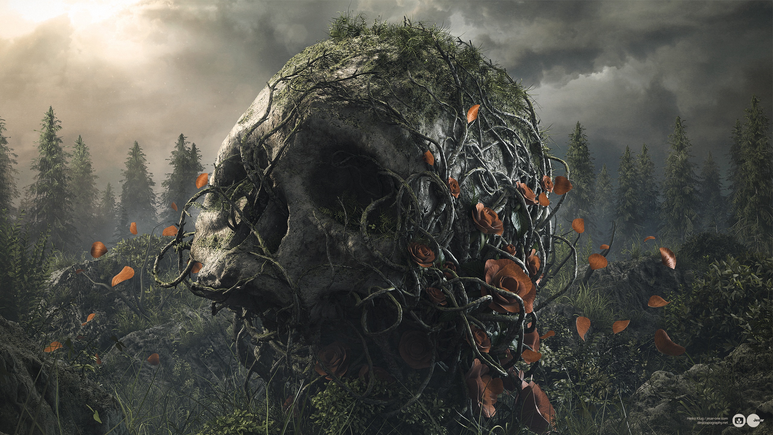 Skull Overgrown With Vines HD Wallpaper Background Image