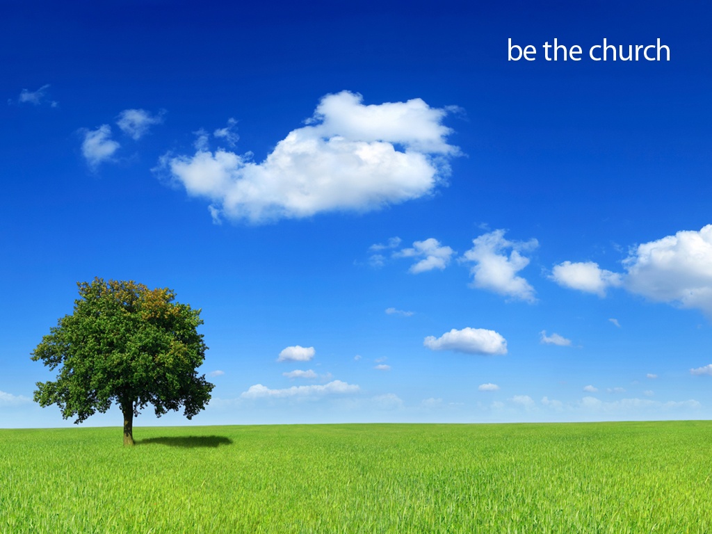 Be The Church Tree Wallpaper Christian And