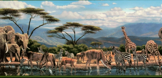 African Safari Giraffe Wallpaper Place Border