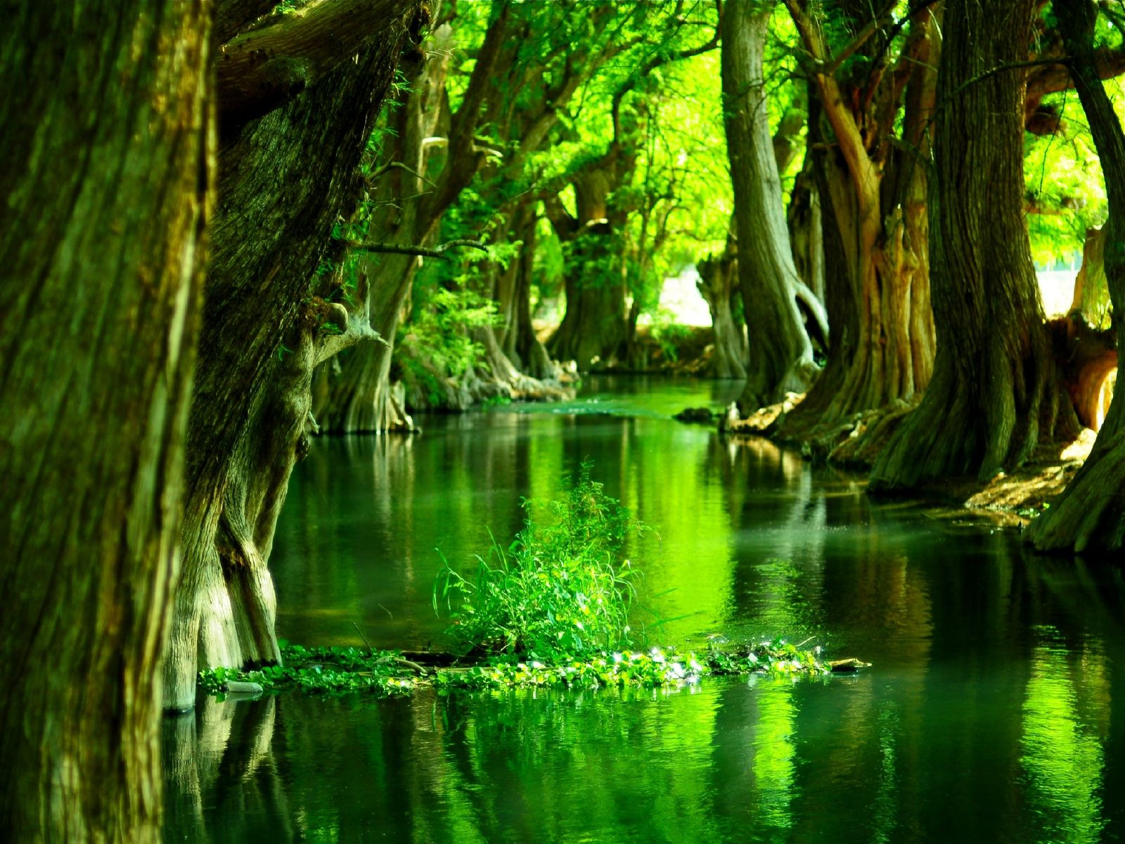 Desktop Wallpaper Nexus 3d HD Picture Design For