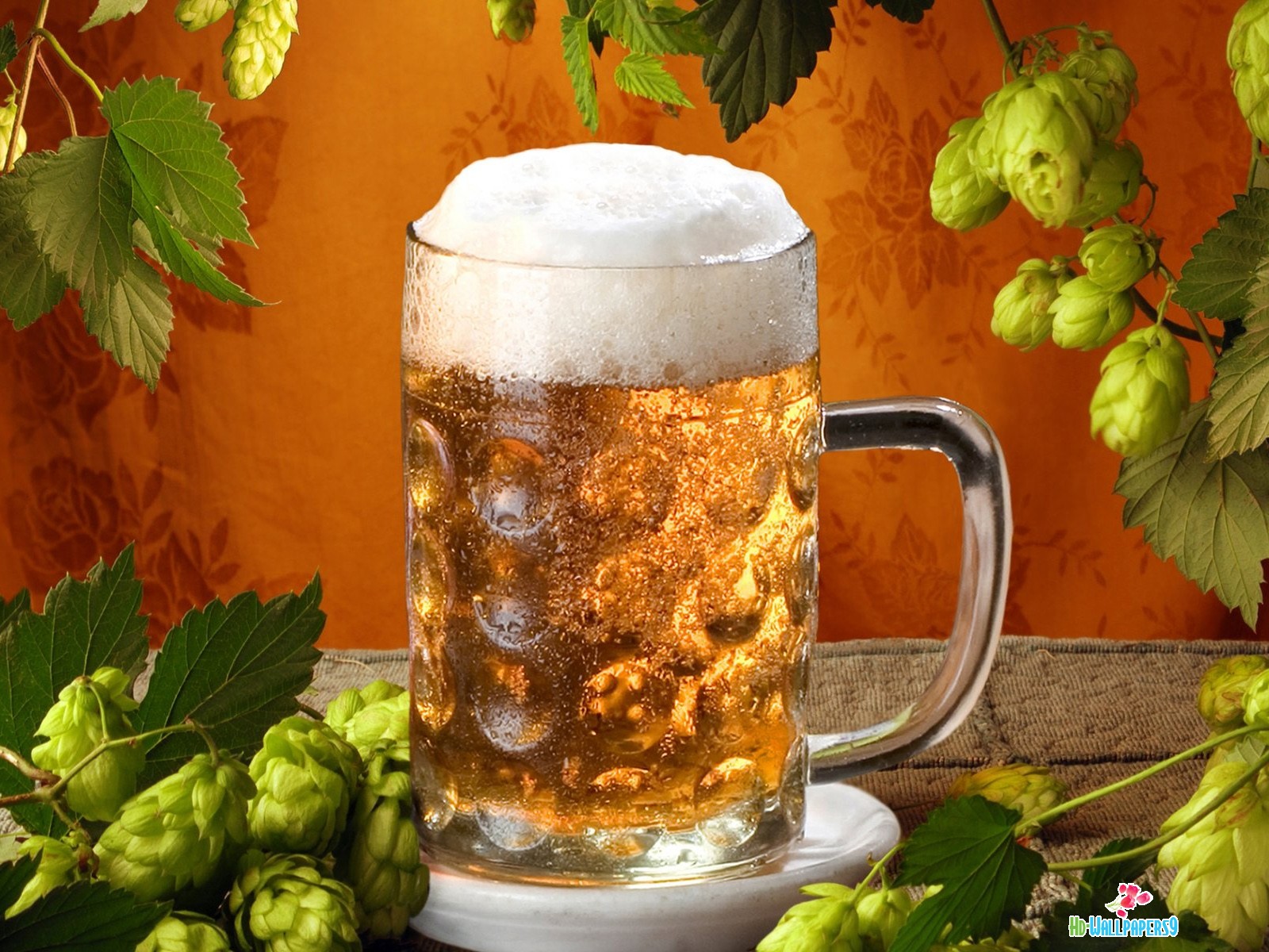 Beer Desktop Wallpaper Photos HD