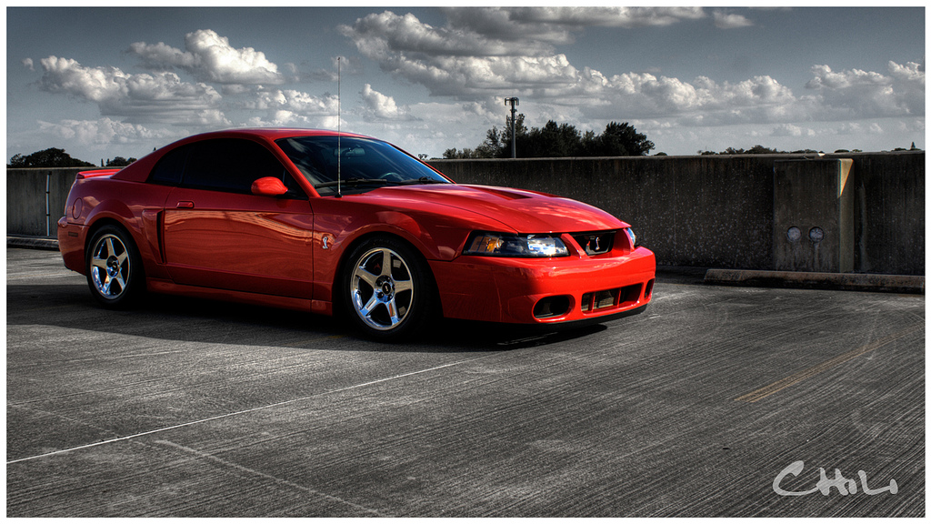 Svt Cobra Photo Sharing