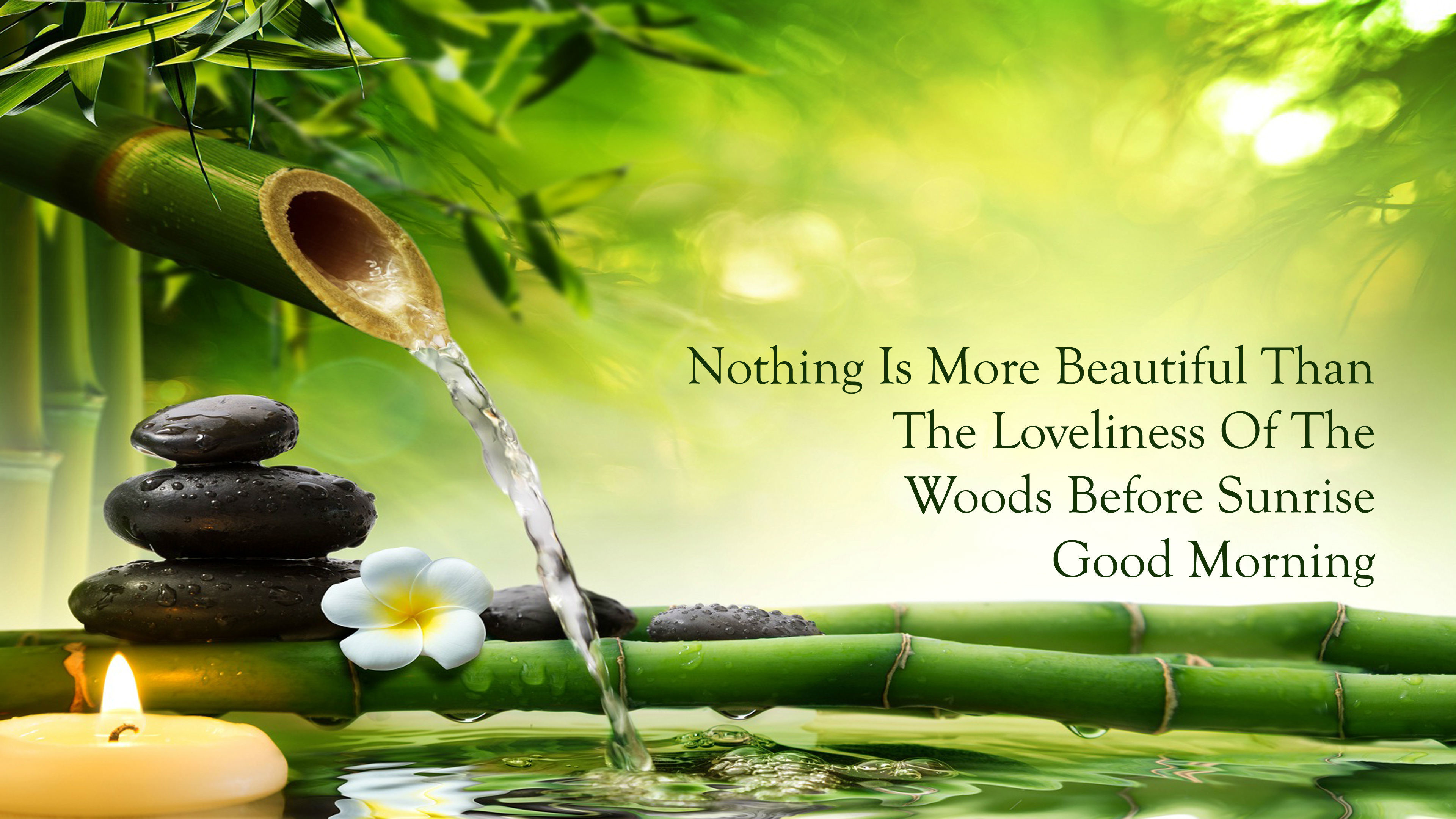 quotes with beautiful nature background