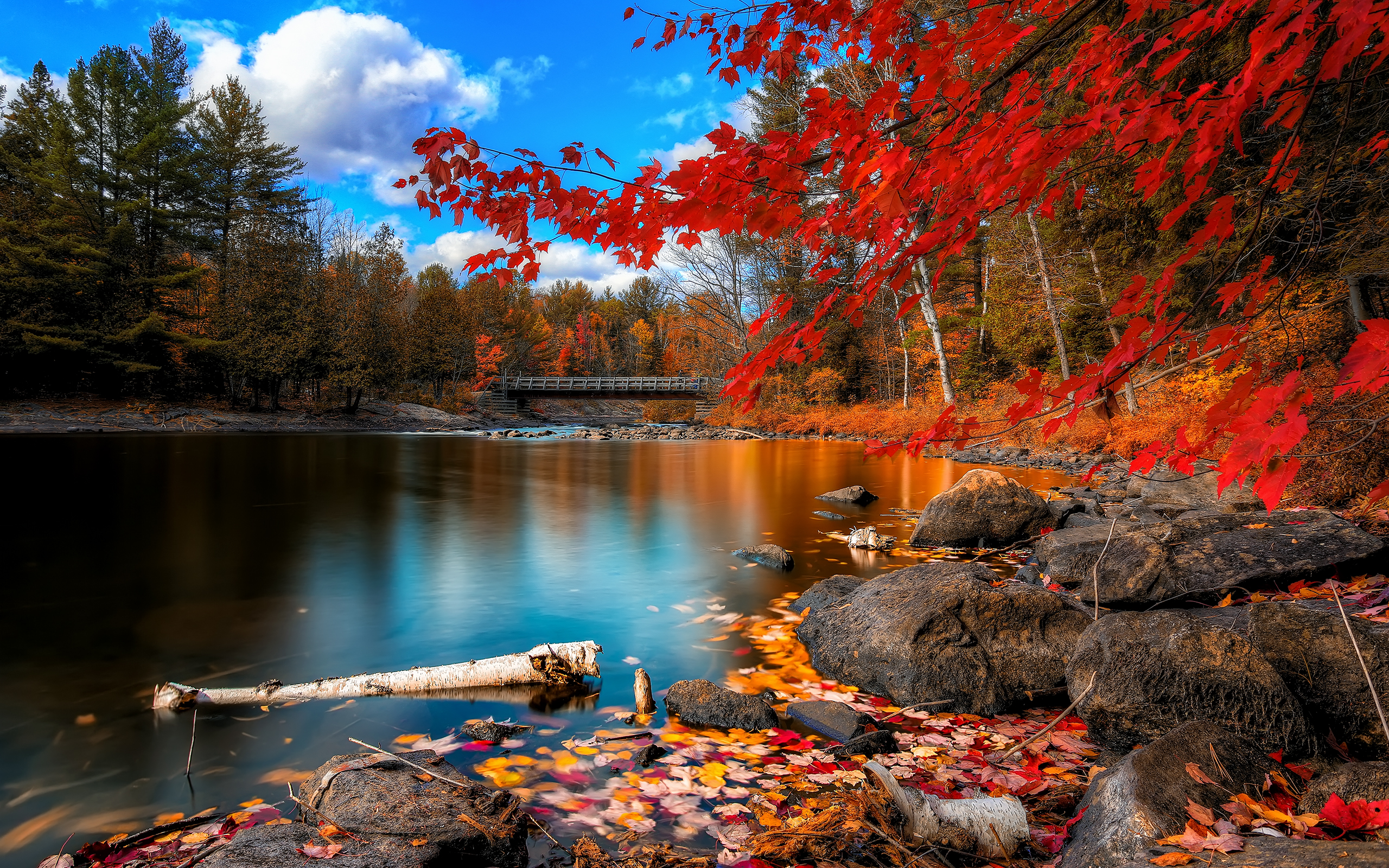 Autumn Landscape Red Leaves Wallpaper And Image