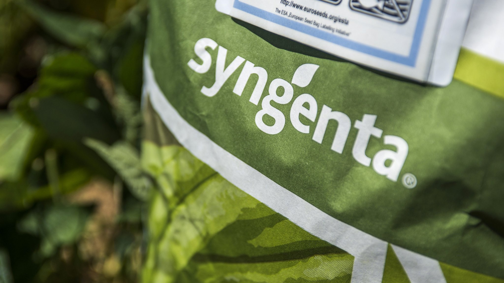 Sinochem And Chemchina Move Closer With Syngenta Appointment