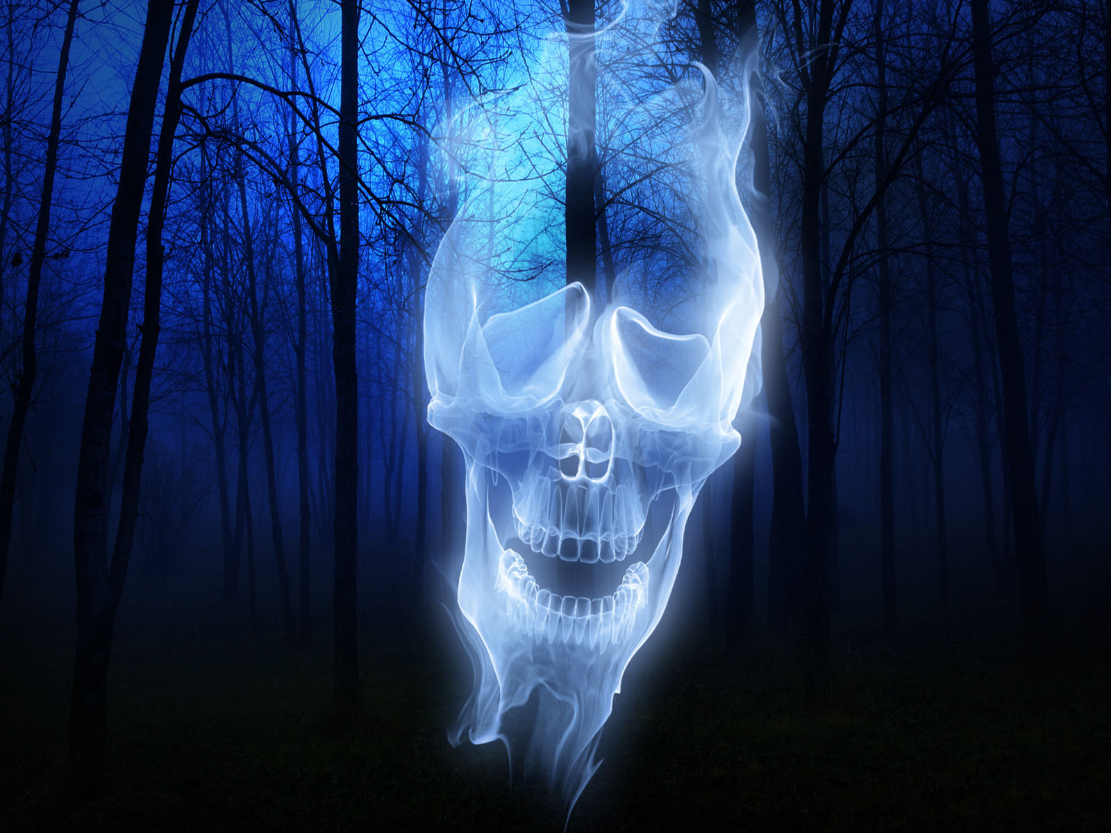 Forest Skull Ghost Wallpaper Stock Photos