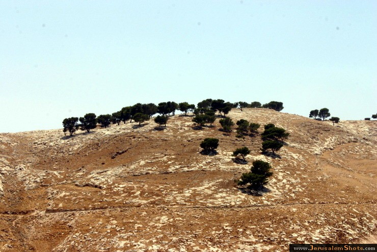 Jerusalem Photos Landscape