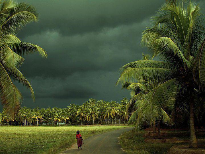 42 Kerala Wallpapers For Desktop On Wallpapersafari