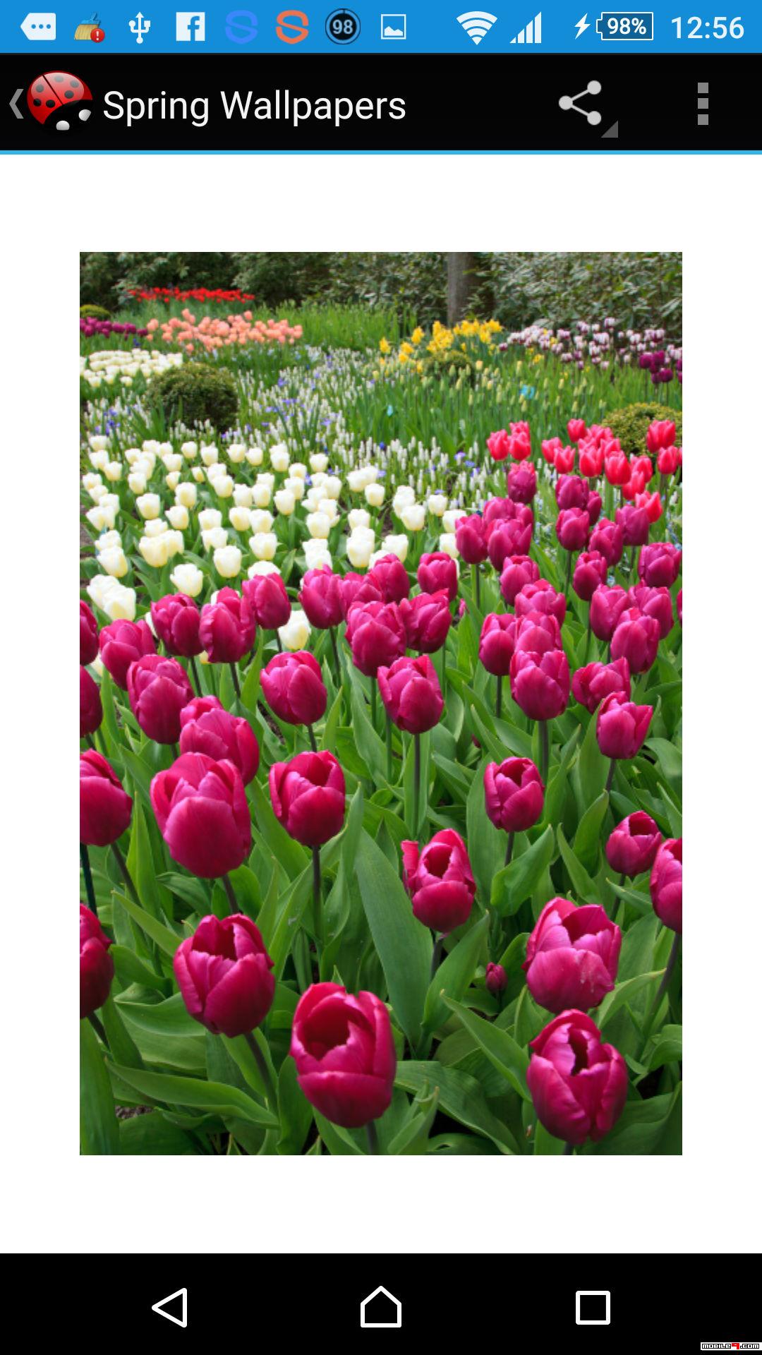 Spring Wallpaper Android Apps Apk