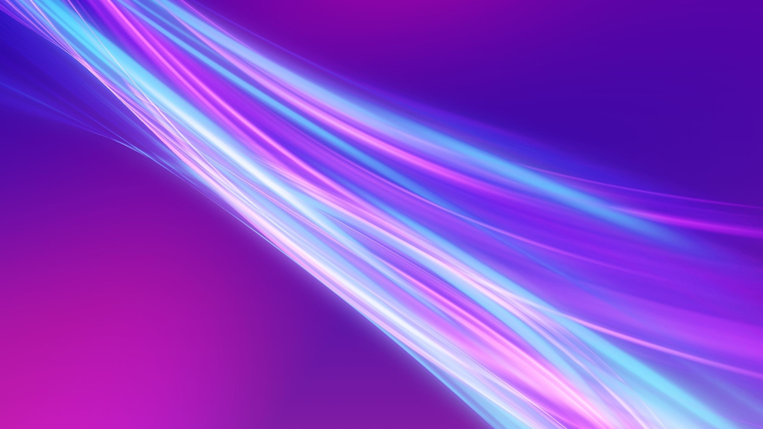 Purple Pink Light Rays Wallpaper