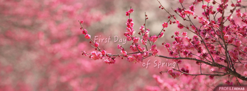 First Day Of Spring Image