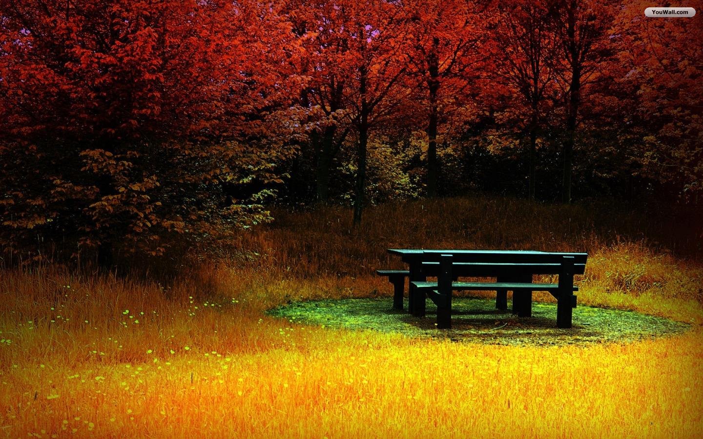 Autumn Wallpaper Photo Desktop