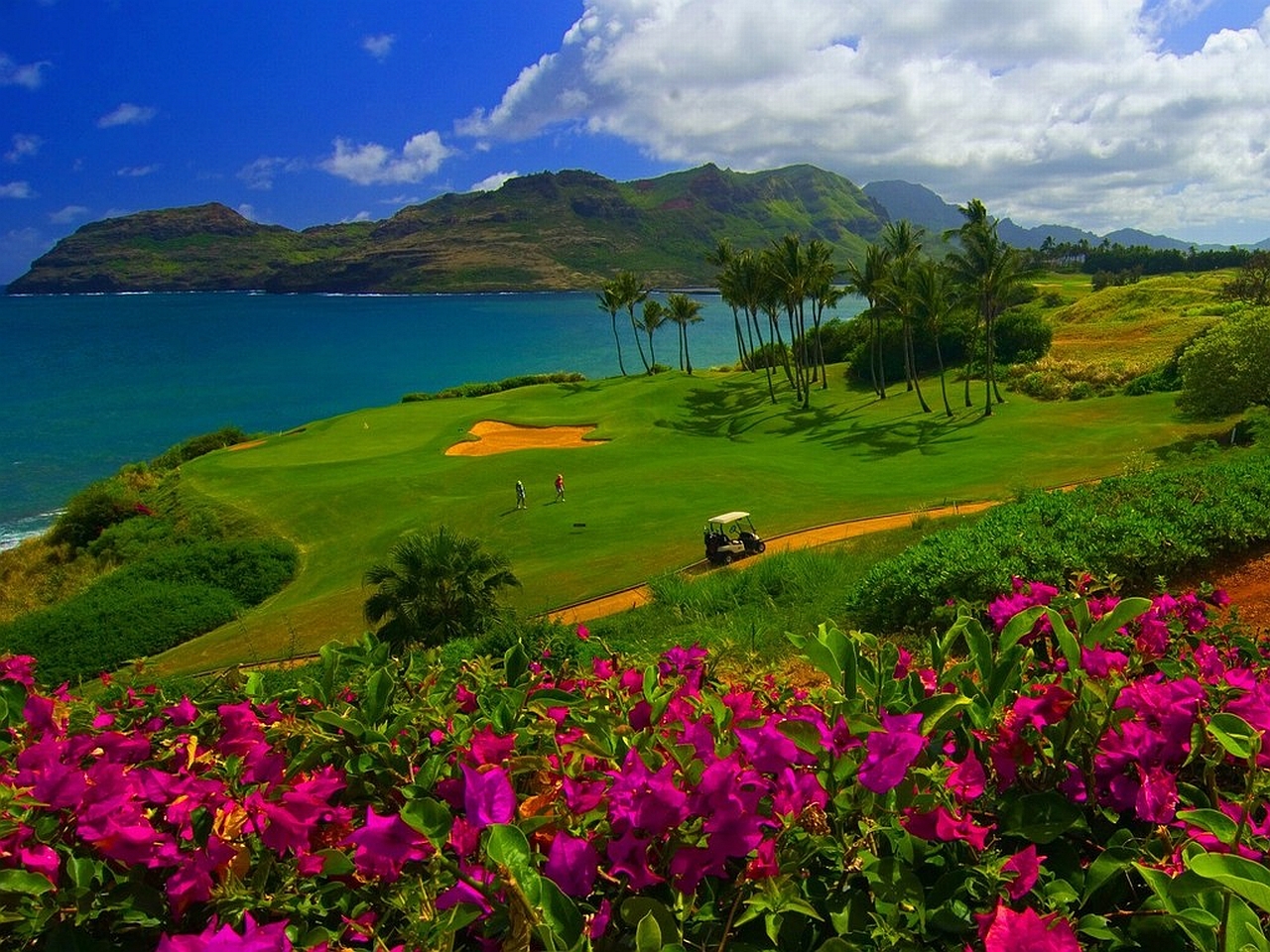 Golf Course HD Wallpaper Background