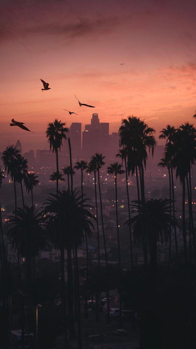 Sunset City iPhone Wallpaper California