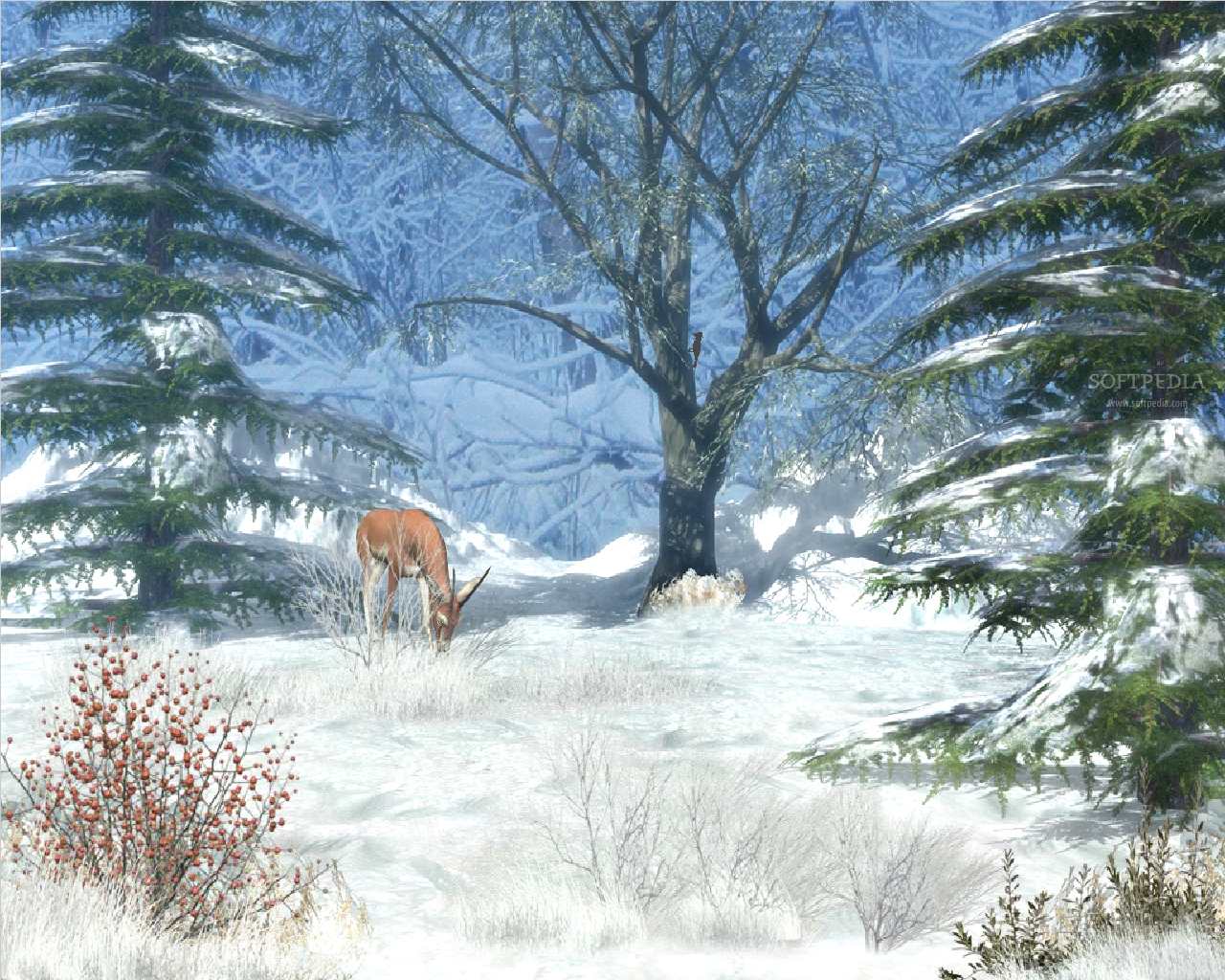 Winter Afternoon   Animated Wallpaper   This is the image displayed by 1280x1024