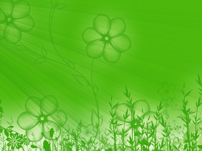 Art Flowers Green Flower Nature HD Desktop Wallpaper