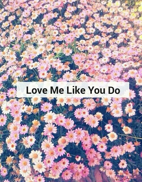 Love Me Like You Do Flowers Wallpaper Pink Daisies Cute Sweet Girly